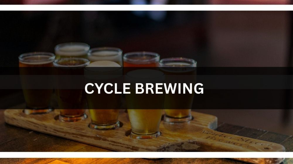 b Cycle Brewing