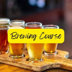 brewing course