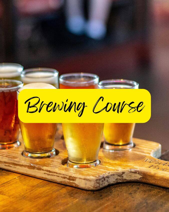 brewing course