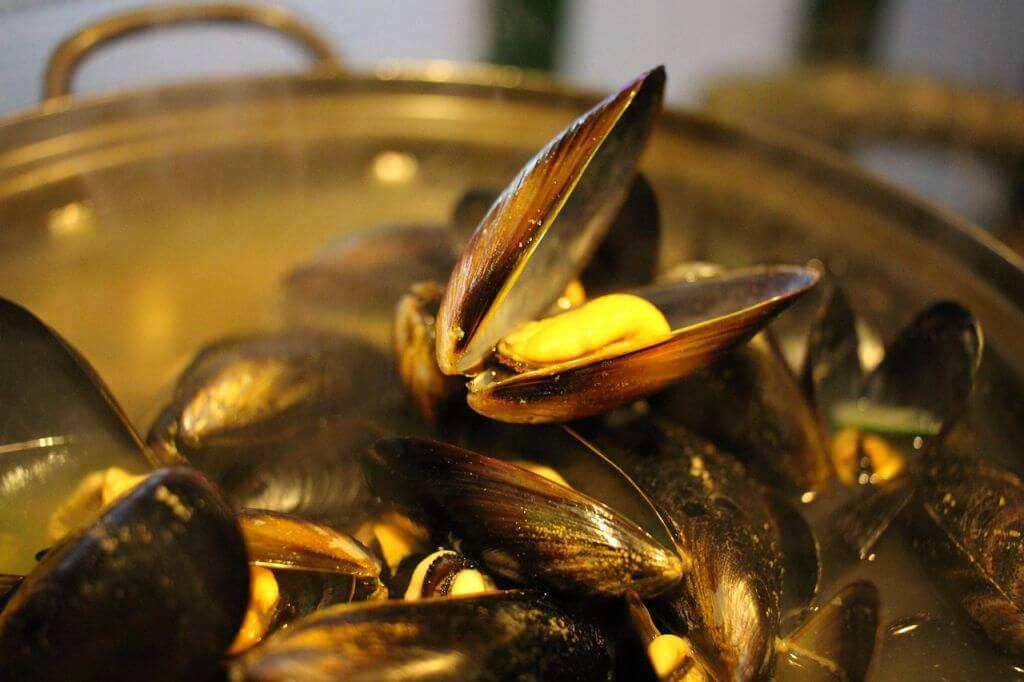 mussel soup ()